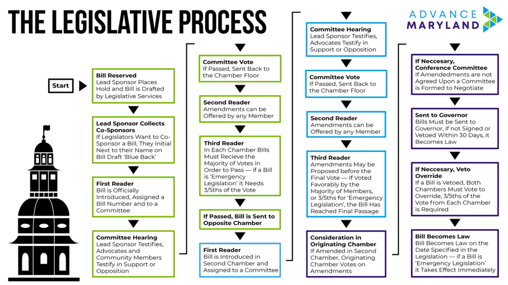 flow-chart showing the legislative process